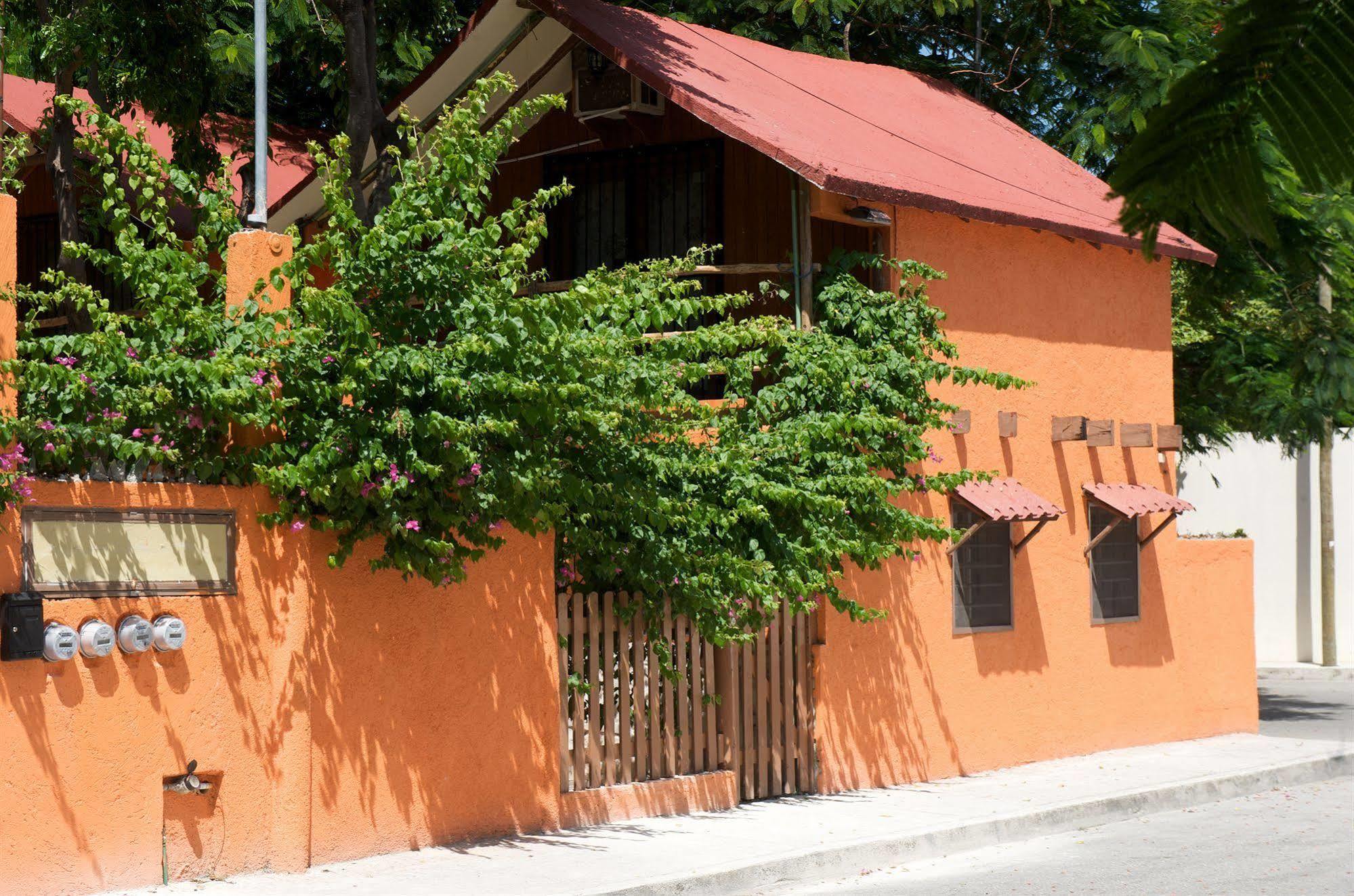 Casa Kiwi *