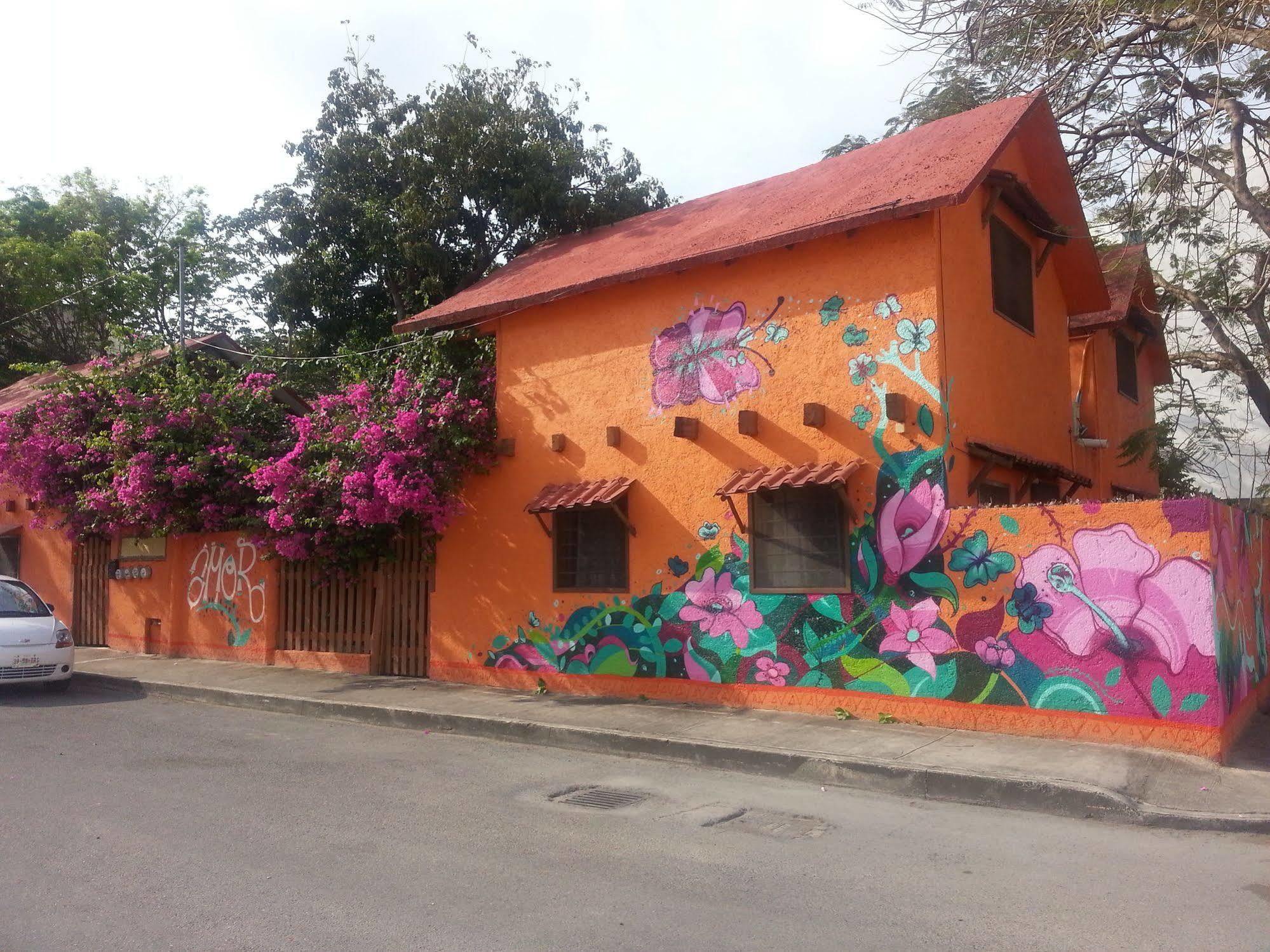 Casa Kiwi